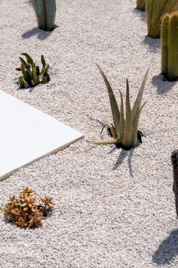 Trulli Cicerali , Trulli Design Con Piscina Panoramica Villa Ostuni Exterior foto